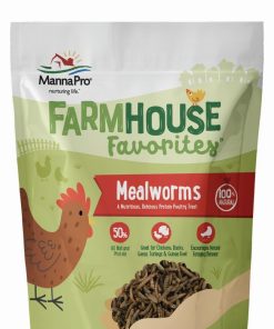 Dried Mealworms